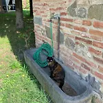 Aparthotel Podere La Ceppa1 4*