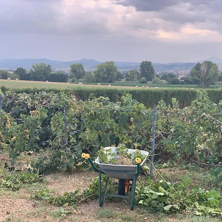 Tuscany Heritage Exclusive - La Ceppa 4* Sinalunga