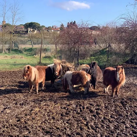 Podere La Ceppa1 شقة فندقية سينالونغا