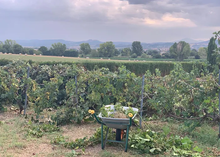 Podere La Ceppa1 4* Синалунга
