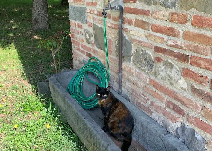 Апарт-отель Podere La Ceppa1 4*