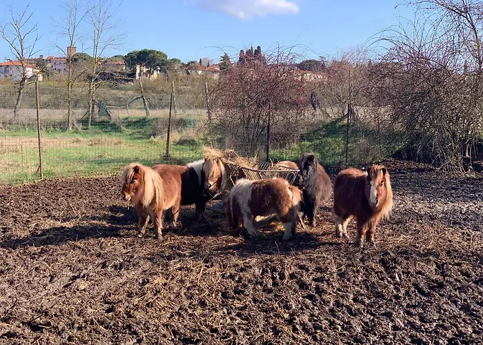 Podere La Ceppa1 Aparthotel Sinalunga